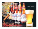 History of Budweiser Tin Sign