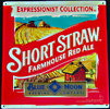 Blue Moon Short Straw Farmhouse Red Ale Tin Sign – Collectible Bar Decor